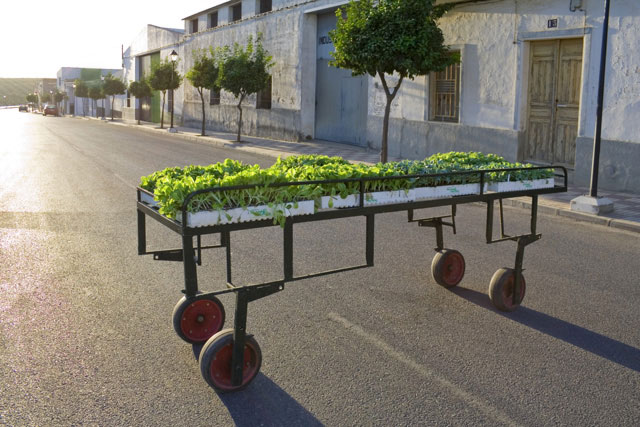 Barricadas para el Siglo XXI - 0