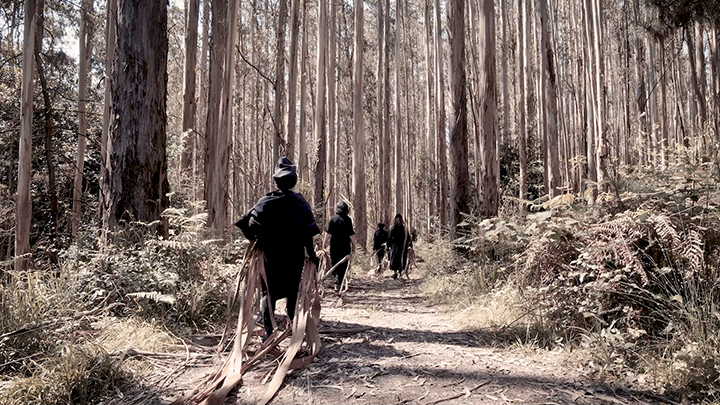 Un Ensayo para la Salvación de lo Bello y lo Vinculante - Still frame (5)